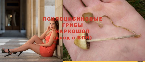 PSILOCYBIN Абинск