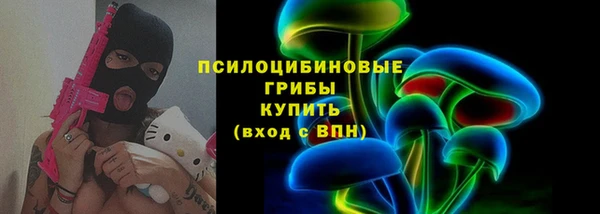 мяу мяу мука Абаза