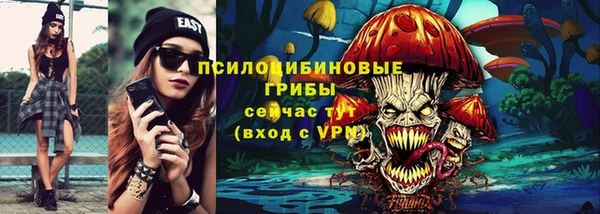 МДПВ Майский