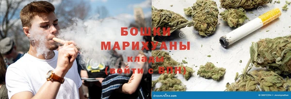 трава Магас